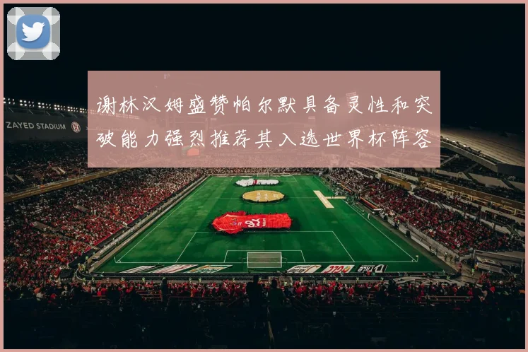 谢林汉姆盛赞帕尔默具备灵性和突破能力强烈推荐其入选世界杯阵容